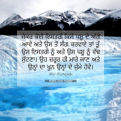Picture 07 - ਅਹਬਾਰ 20:16 PANIRV - ਜੇਕਰ ਕੋਈ ਇਸਤਰੀ - Bible Verse Picture