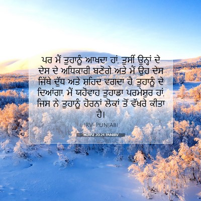 Picture 07 - ਅਹਬਾਰ 20:24 PANIRV - ਪਰ ਮੈਂ ਤੁਹਾਨੂੰ - Bible Verse Picture