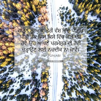 Picture 07 - ਅਹਬਾਰ 21:17 PANIRV - ਹਾਰੂਨ ਨੂੰ ਆਖ, ਤੇਰੀ - Bible Verse Picture