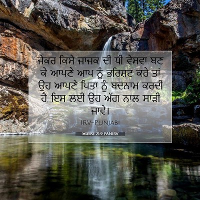 Picture 07 - ਅਹਬਾਰ 21:9 PANIRV - ਜੇਕਰ ਕਿਸੇ ਜਾਜਕ ਦੀ - Bible Verse Picture