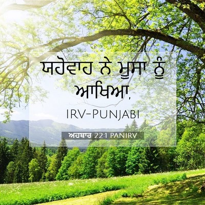 Picture 07 - ਅਹਬਾਰ 22:1 PANIRV - ਯਹੋਵਾਹ ਨੇ ਮੂਸਾ ਨੂੰ - Bible Verse Picture