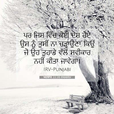 Picture 07 - ਅਹਬਾਰ 22:20 PANIRV - ਪਰ ਜਿਸ ਵਿੱਚ ਕੋਈ - Bible Verse Picture