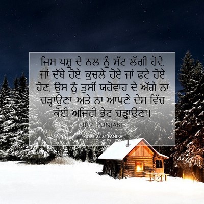 Picture 07 - ਅਹਬਾਰ 22:24 PANIRV - ਜਿਸ ਪਸ਼ੂ ਦੇ ਨਲ ਨੂੰ - Bible Verse Picture