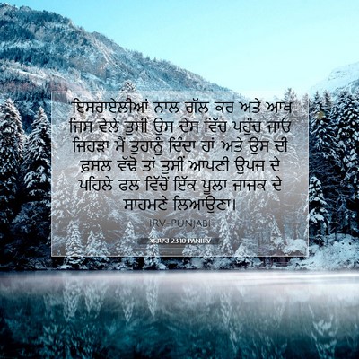 Picture 07 - ਅਹਬਾਰ 23:10 PANIRV - “ਇਸਰਾਏਲੀਆਂ ਨਾਲ - Bible Verse Picture