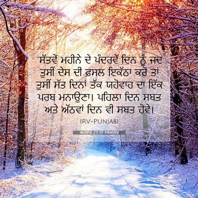 Picture 07 - ਅਹਬਾਰ 23:39 PANIRV - “ਸੱਤਵੇਂ ਮਹੀਨੇ ਦੇ - Bible Verse Picture
