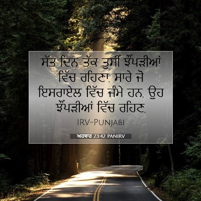 Picture 07 - ਅਹਬਾਰ 23:42 PANIRV - ਸੱਤ ਦਿਨ ਤੱਕ ਤੁਸੀਂ - Bible Verse Picture