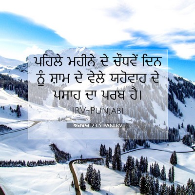 Picture 07 - ਅਹਬਾਰ 23:5 PANIRV - ਪਹਿਲੇ ਮਹੀਨੇ ਦੇ - Bible Verse Picture