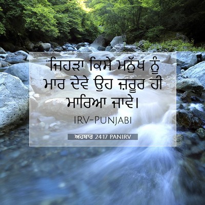 Picture 07 - ਅਹਬਾਰ 24:17 PANIRV - “ਜਿਹੜਾ ਕਿਸੇ ਮਨੁੱਖ - Bible Verse Picture