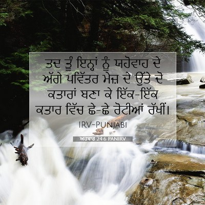 Picture 07 - ਅਹਬਾਰ 24:6 PANIRV - ਤਦ ਤੂੰ ਇਨ੍ਹਾਂ ਨੂੰ - Bible Verse Picture