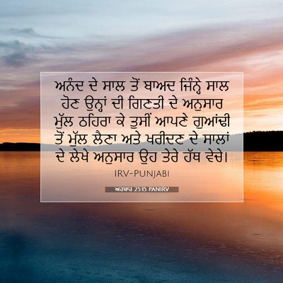 Picture 07 - ਅਹਬਾਰ 25:15 PANIRV - ਅਨੰਦ ਦੇ ਸਾਲ ਤੋਂ - Bible Verse Picture