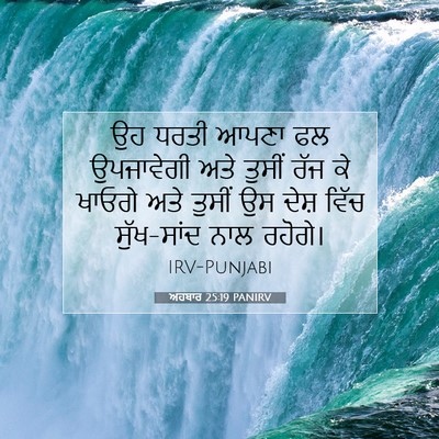 Picture 07 - ਅਹਬਾਰ 25:19 PANIRV - ਉਹ ਧਰਤੀ ਆਪਣਾ ਫਲ - Bible Verse Picture