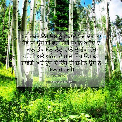 Picture 07 - ਅਹਬਾਰ 25:28 PANIRV - ਪਰ ਜੇਕਰ ਉਹ ਉਸ ਨੂੰ - Bible Verse Picture