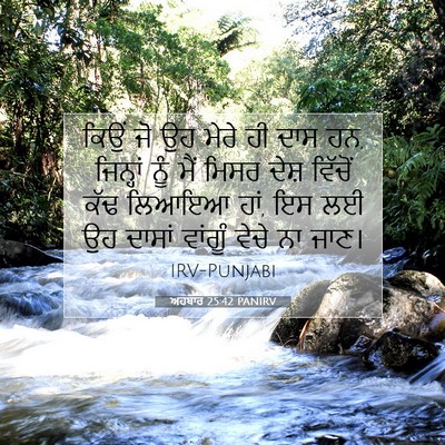 Picture 07 - ਅਹਬਾਰ 25:42 PANIRV - ਕਿਉਂ ਜੋ ਉਹ ਮੇਰੇ ਹੀ - Bible Verse Picture
