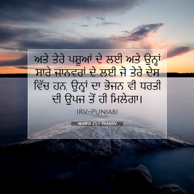 Picture 07 - ਅਹਬਾਰ 25:7 PANIRV - ਅਤੇ ਤੇਰੇ ਪਸ਼ੂਆਂ ਦੇ - Bible Verse Picture