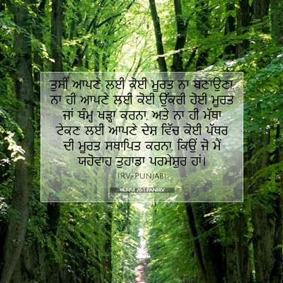 Picture 07 - ਅਹਬਾਰ 26:1 PANIRV - ਤੁਸੀਂ ਆਪਣੇ ਲਈ ਕੋਈ - Bible Verse Picture