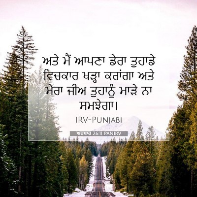 Picture 07 - ਅਹਬਾਰ 26:11 PANIRV - ਅਤੇ ਮੈਂ ਆਪਣਾ ਡੇਰਾ - Bible Verse Picture