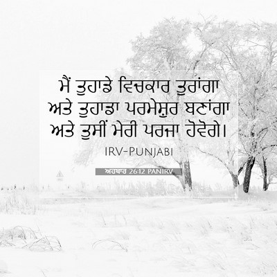 Picture 07 - ਅਹਬਾਰ 26:12 PANIRV - ਮੈਂ ਤੁਹਾਡੇ ਵਿਚਕਾਰ - Bible Verse Picture