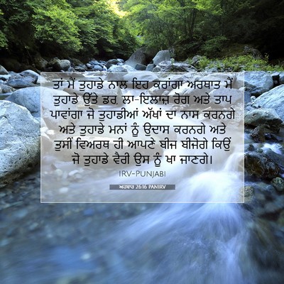 Picture 07 - ਅਹਬਾਰ 26:16 PANIRV - ਤਾਂ ਮੈਂ ਤੁਹਾਡੇ ਨਾਲ - Bible Verse Picture