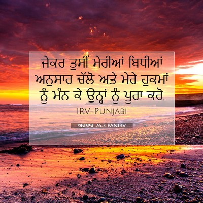 Picture 07 - ਅਹਬਾਰ 26:3 PANIRV - ਜੇਕਰ ਤੁਸੀਂ ਮੇਰੀਆਂ - Bible Verse Picture