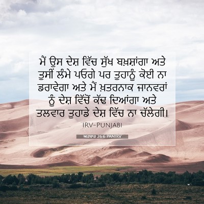 Picture 07 - ਅਹਬਾਰ 26:6 PANIRV - ਮੈਂ ਉਸ ਦੇਸ਼ ਵਿੱਚ - Bible Verse Picture