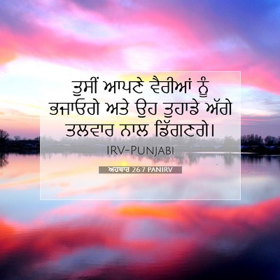 Picture 07 - ਅਹਬਾਰ 26:7 PANIRV - ਤੁਸੀਂ ਆਪਣੇ ਵੈਰੀਆਂ - Bible Verse Picture