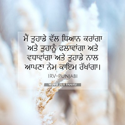 Picture 07 - ਅਹਬਾਰ 26:9 PANIRV - ਮੈਂ ਤੁਹਾਡੇ ਵੱਲ - Bible Verse Picture