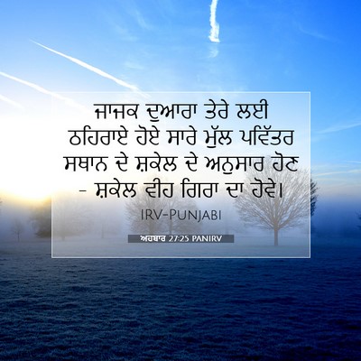 Picture 07 - ਅਹਬਾਰ 27:25 PANIRV - ਜਾਜਕ ਦੁਆਰਾ ਤੇਰੇ ਲਈ - Bible Verse Picture