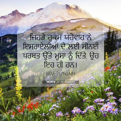 Picture 07 - ਅਹਬਾਰ 27:34 PANIRV - ਜਿਹੜੇ ਹੁਕਮ ਯਹੋਵਾਹ - Bible Verse Picture