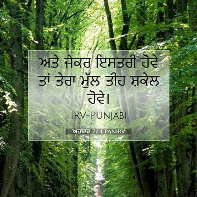 Picture 07 - ਅਹਬਾਰ 27:4 PANIRV - ਅਤੇ ਜੇਕਰ ਇਸਤਰੀ - Bible Verse Picture