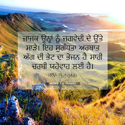 Picture 07 - ਅਹਬਾਰ 3:16 PANIRV - ਜਾਜਕ ਉਨ੍ਹਾਂ ਨੂੰ - Bible Verse Picture