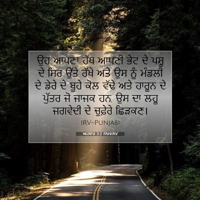 Picture 07 - ਅਹਬਾਰ 3:2 PANIRV - ਉਹ ਆਪਣਾ ਹੱਥ ਆਪਣੀ - Bible Verse Picture