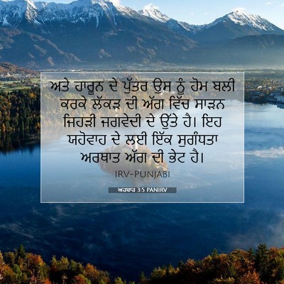 Picture 07 - ਅਹਬਾਰ 3:5 PANIRV - ਅਤੇ ਹਾਰੂਨ ਦੇ ਪੁੱਤਰ - Bible Verse Picture