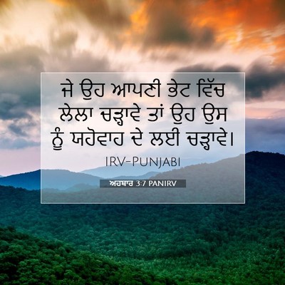 Picture 07 - ਅਹਬਾਰ 3:7 PANIRV - ਜੇ ਉਹ ਆਪਣੀ ਭੇਟ ਵਿੱਚ - Bible Verse Picture