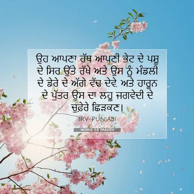 Picture 07 - ਅਹਬਾਰ 3:8 PANIRV - ਉਹ ਆਪਣਾ ਹੱਥ ਆਪਣੀ - Bible Verse Picture