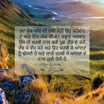 Picture 07 - ਅਹਬਾਰ 3:9 PANIRV - ਤਦ ਸੁੱਖ-ਸਾਂਦ ਦੀ ਬਲੀ - Bible Verse Picture