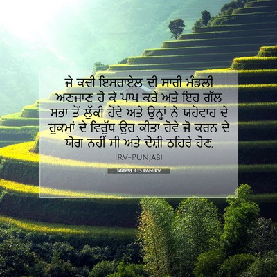 Picture 07 - ਅਹਬਾਰ 4:13 PANIRV - ਜੇ ਕਦੀ ਇਸਰਾਏਲ ਦੀ - Bible Verse Picture
