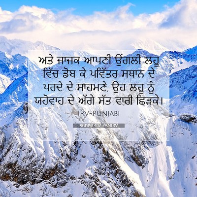 Picture 07 - ਅਹਬਾਰ 4:17 PANIRV - ਅਤੇ ਜਾਜਕ ਆਪਣੀ - Bible Verse Picture