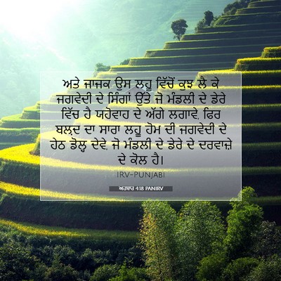 Picture 07 - ਅਹਬਾਰ 4:18 PANIRV - ਅਤੇ ਜਾਜਕ ਉਸ ਲਹੂ - Bible Verse Picture