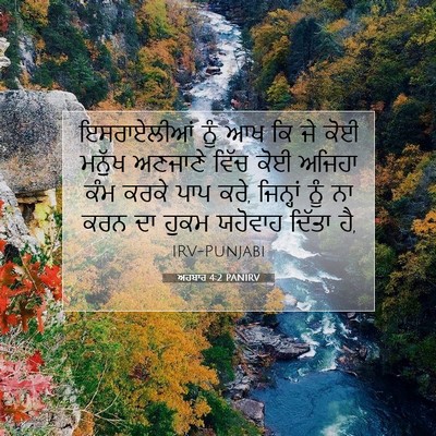 Picture 07 - ਅਹਬਾਰ 4:2 PANIRV - ਇਸਰਾਏਲੀਆਂ ਨੂੰ ਆਖ - Bible Verse Picture