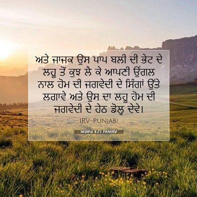Picture 07 - ਅਹਬਾਰ 4:25 PANIRV - ਅਤੇ ਜਾਜਕ ਉਸ ਪਾਪ ਬਲੀ - Bible Verse Picture