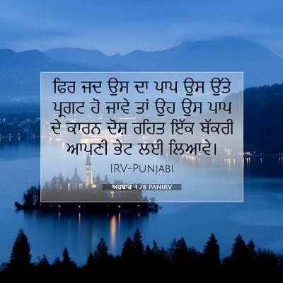 Picture 07 - ਅਹਬਾਰ 4:28 PANIRV - ਫਿਰ ਜਦ ਉਸ ਦਾ ਪਾਪ ਉਸ - Bible Verse Picture
