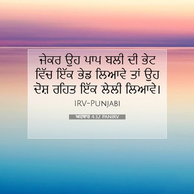 Picture 07 - ਅਹਬਾਰ 4:32 PANIRV - ਜੇਕਰ ਉਹ ਪਾਪ ਬਲੀ ਦੀ - Bible Verse Picture