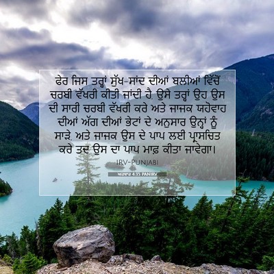 Picture 07 - ਅਹਬਾਰ 4:35 PANIRV - ਫੇਰ ਜਿਸ ਤਰ੍ਹਾਂ - Bible Verse Picture