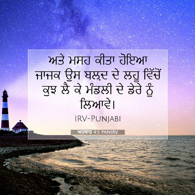 Picture 07 - ਅਹਬਾਰ 4:5 PANIRV - ਅਤੇ ਮਸਹ ਕੀਤਾ ਹੋਇਆ - Bible Verse Picture