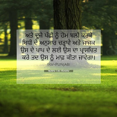 Picture 07 - ਅਹਬਾਰ 5:10 PANIRV - ਅਤੇ ਦੂਜੇ ਪੰਛੀ ਨੂੰ - Bible Verse Picture