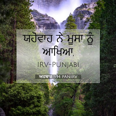 Picture 07 - ਅਹਬਾਰ 5:14 PANIRV - ਯਹੋਵਾਹ ਨੇ ਮੂਸਾ ਨੂੰ - Bible Verse Picture