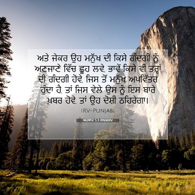 Picture 07 - ਅਹਬਾਰ 5:3 PANIRV - ਅਤੇ ਜੇਕਰ ਉਹ ਮਨੁੱਖ - Bible Verse Picture
