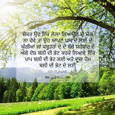 Picture 07 - ਅਹਬਾਰ 5:7 PANIRV - ਜੇਕਰ ਉਹ ਇੱਕ ਲੇਲਾ - Bible Verse Picture