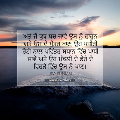 Picture 07 - ਅਹਬਾਰ 6:16 PANIRV - ਅਤੇ ਜੋ ਕੁਝ ਬਚ ਜਾਵੇ - Bible Verse Picture