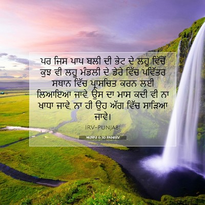 Picture 07 - ਅਹਬਾਰ 6:30 PANIRV - ਪਰ ਜਿਸ ਪਾਪ ਬਲੀ ਦੀ - Bible Verse Picture